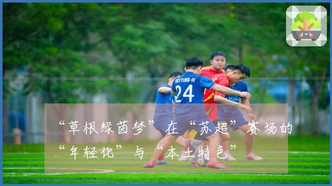 “草根绿茵梦”在“苏超”赛场的“年轻化”与“本土特色”